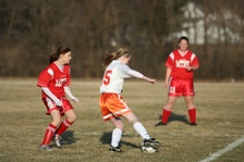Enlarge photo 121
