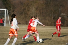 Enlarge photo 124