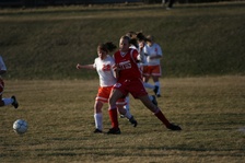 Enlarge photo 128