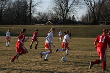 Enlarge photo 132