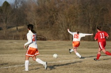 Enlarge photo 137