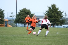 Enlarge photo 42