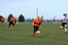 Enlarge photo 46