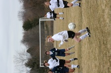 Enlarge photo 154