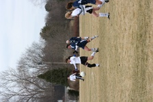 Enlarge photo 175