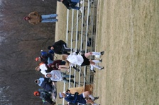 Enlarge photo 195
