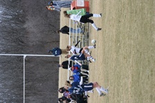 Enlarge photo 218