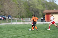Enlarge photo 41