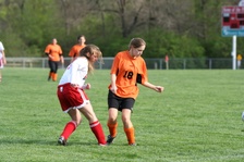 Enlarge photo 42