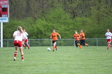 Enlarge photo 46