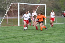 Enlarge photo 51