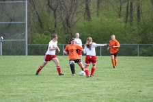 Enlarge photo 54