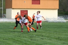 Enlarge photo 58