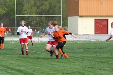 Enlarge photo 59