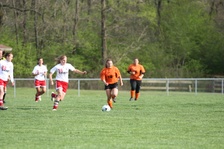 Enlarge photo 63