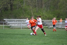 Enlarge photo 127