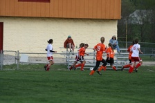 Enlarge photo 133