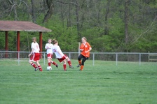 Enlarge photo 144