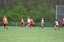 Enlarge photo 151