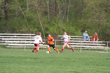 Enlarge photo 152