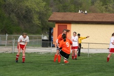Enlarge photo 155