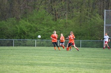 Enlarge photo 164
