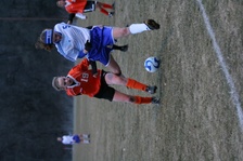 Enlarge photo 148