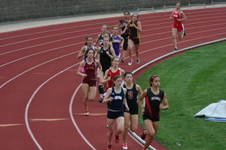 Enlarge photo 237