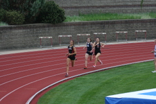 Enlarge photo 239