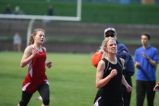 Enlarge photo 301