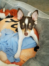 Enlarge photo 11