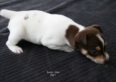 Enlarge photo 22