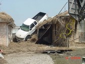 Enlarge photo 66