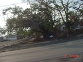 Enlarge photo 61