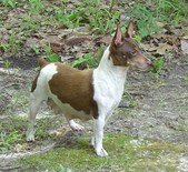 Enlarge photo 21