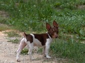 Enlarge photo 4