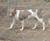 Enlarge photo 24