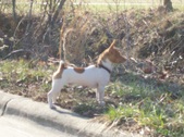 Enlarge photo 7