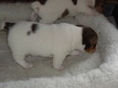 Enlarge photo 4