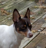 Brooks Darla May of C.C.K.