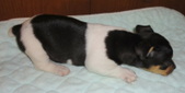 Enlarge photo 10