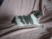 Enlarge photo 4