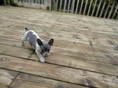 Enlarge photo 14