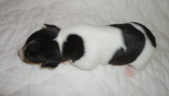 Enlarge photo 13