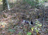 Enlarge photo 19
