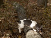 Enlarge photo 21