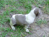 Enlarge photo 5