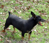 Enlarge photo 24