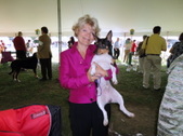 Premier Dog Show 2011