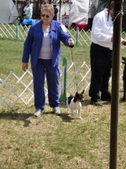 Enlarge photo 11